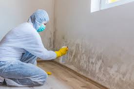 Asbestos and Lead Testing During Mold Inspection in West Hattiesburg, MS